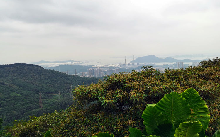 激扬青春、奋勇攀登登山活动